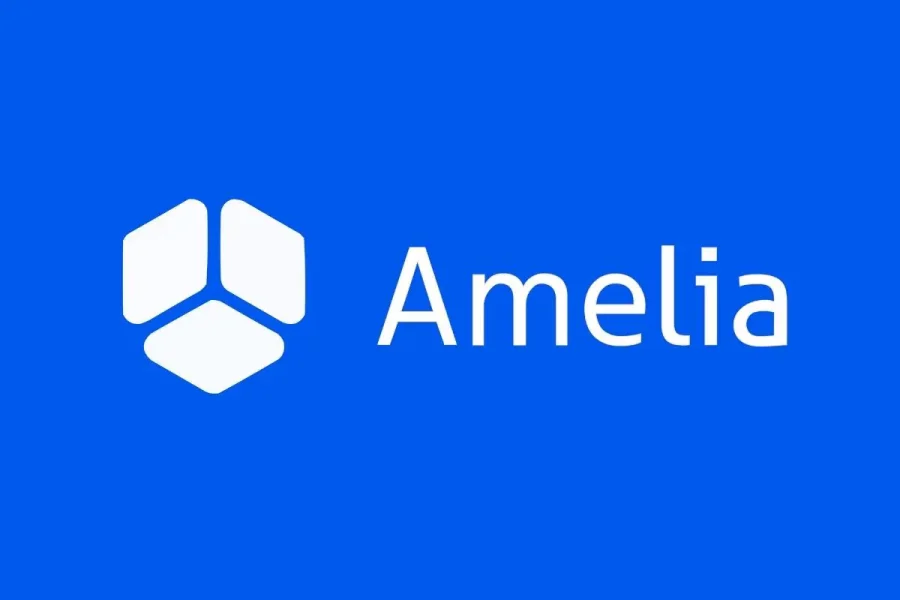 Amelia Blocks review